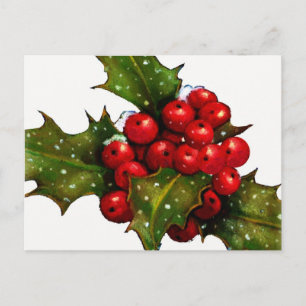 Cartes Pour Fêtes Annuelles Christmas Holly With Berries and Snow : Art