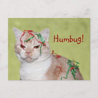 Cartes Pour Fêtes Annuelles Christmas Humbug