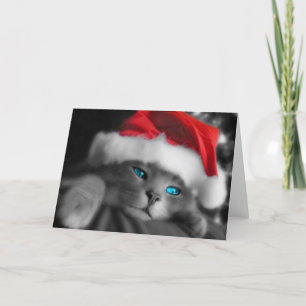 Cartes Pour Fêtes Annuelles Christmas Kitten