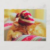 Cartes Pour Fêtes Annuelles Christmas Kitten (Devant)