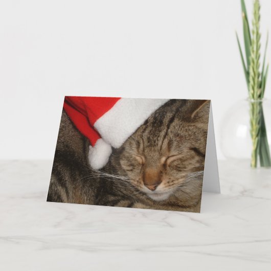 Cartes Pour Fêtes Annuelles Christmas Kitty (Devant)