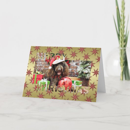 Cartes Pour Fêtes Annuelles Christmas - LabraDoodle - Harley (Devant)