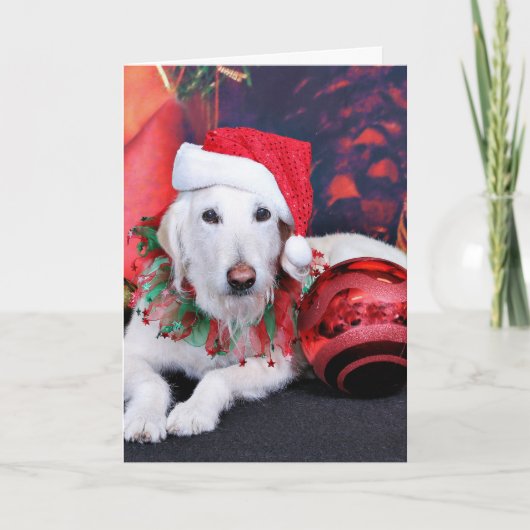 Cartes Pour Fêtes Annuelles Christmas - LabraDoodle - Izzy (Devant)