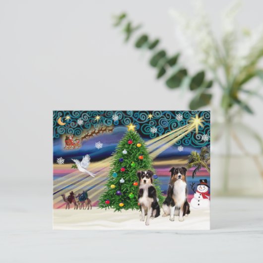 Cartes Pour Fêtes Annuelles Christmas Magic Australian Shepherds (deux, 6-7) (Debout devant)