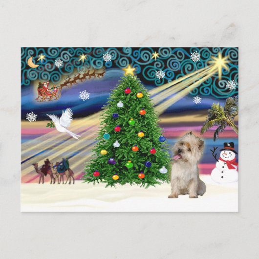 Cartes Pour Fêtes Annuelles Christmas Magic Cairn Terrier (Wheaten) (Devant)