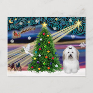 Cartes Pour Fêtes Annuelles Christmas Magic Coton De Tulear