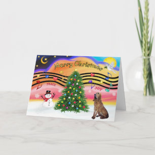 Cartes Pour Fêtes Annuelles Christmas Music 2 - Bloodhound