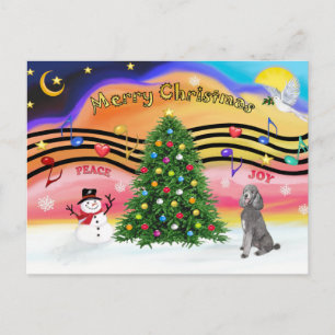 Cartes Pour Fêtes Annuelles Christmas Music 2 - Poodle (Silver Standard)