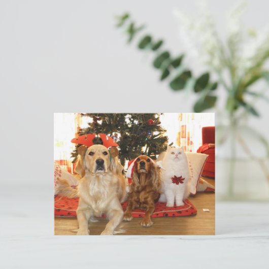 Cartes Pour Fêtes Annuelles Christmas Pets Holiday (Debout devant)