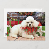 Cartes Pour Fêtes Annuelles Christmas - Poodle - Sophie (Devant / Derrière)