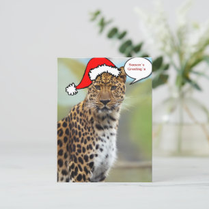 Cartes Pour Fêtes Annuelles Christmas Santa leopard postcard 2
