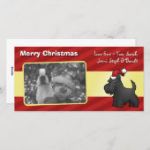 Cartes Pour Fêtes Annuelles Christmas Scottish Terrier (Devant / Derrière)