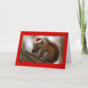 Cartes Pour Fêtes Annuelles christmas squerrl