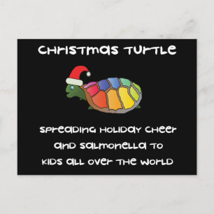 Cartes Pour Fêtes Annuelles Christmas Turtle