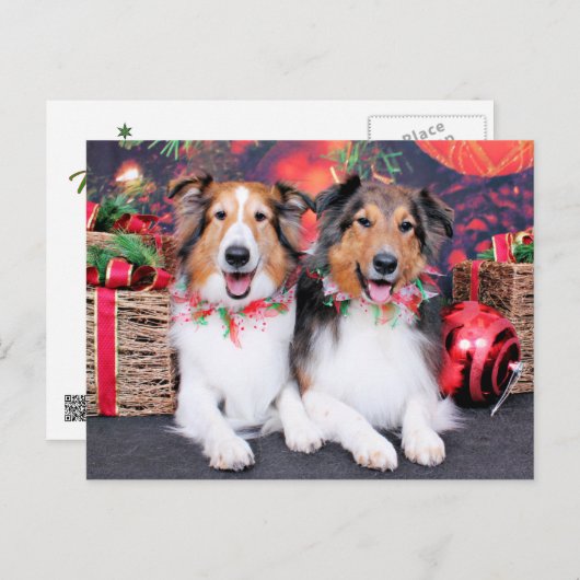 Cartes Pour Fêtes Annuelles Christmas - Zena & Packer - Shelties (Devant / Derrière)