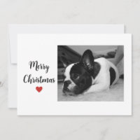 Chritsmas Chien mignon Amour