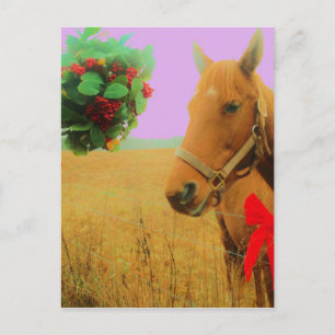 Cartes Pour Fêtes Annuelles Ciel rose rétro Cheval de Noël