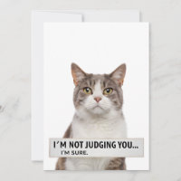 Citation de chat sarcastique jugeant l'art minimal