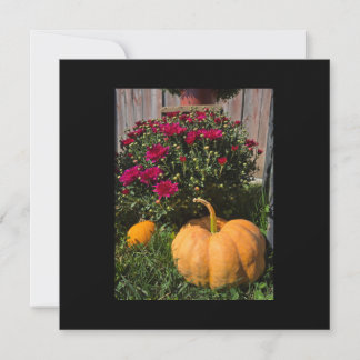 Cartes Pour Fêtes Annuelles Citrouilles et mamans