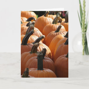 Cartes Pour Fêtes Annuelles Citrouilles, Thanksgiving