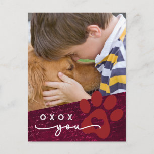 Cartes Pour Fêtes Annuelles Classe Valentine Enfant Animaux de compagnie Photo
