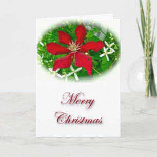 Cartes Pour Fêtes Annuelles Clematite rouge Joyeux Noël