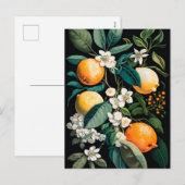 Cartes Pour Fêtes Annuelles Clementine Mandarine (Devant / Derrière)