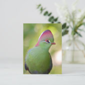 Cartes Pour Fêtes Annuelles Closeup turaco de fischer (Debout devant)