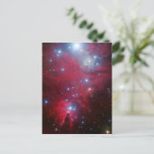 Cartes Pour Fêtes Annuelles Cluster d'étoiles de Noël (Debout devant)