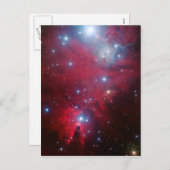 Cartes Pour Fêtes Annuelles Cluster d'étoiles de Noël (Devant / Derrière)