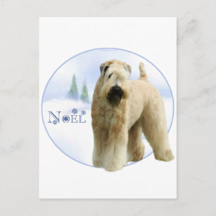 Cartes Pour Fêtes Annuelles Coated Wheaten Terrier Noel