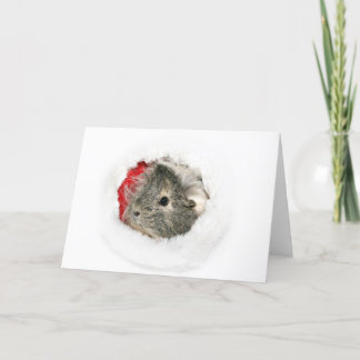 Cartes Pour Fêtes Annuelles Cobaye Père Noël