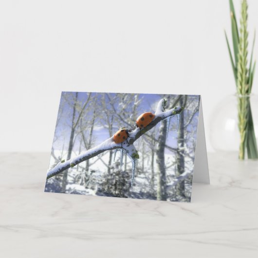 Cartes Pour Fêtes Annuelles Coccinelles de Noël (Devant)