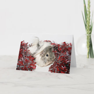Cartes Pour Fêtes Annuelles Cochon de Guinée de Noël