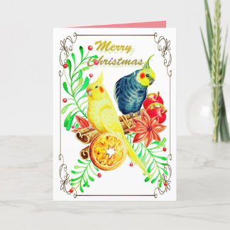 Cartes Pour Fêtes Annuelles Cockatiel Mistletoe