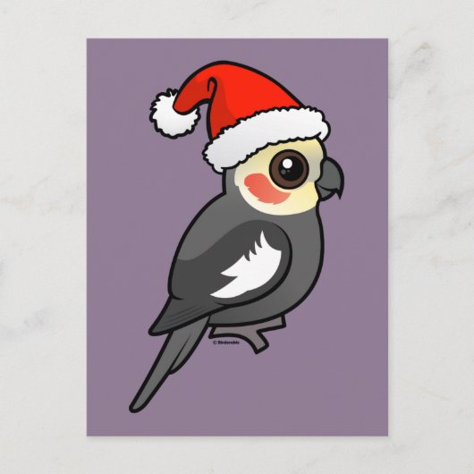 Cartes Pour Fêtes Annuelles Cockatiel Père Noël (Devant)
