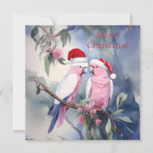 Cartes Pour Fêtes Annuelles Cockatoos roses Santa Hat Joyeux Noël