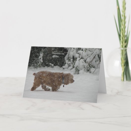 Cartes Pour Fêtes Annuelles Cocker de Milou (Devant)