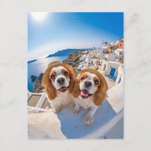 Cartes Pour Fêtes Annuelles Cocker Spaniel King Charles à Santorin