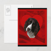 Cartes Pour Fêtes Annuelles Cocker Spaniel Saint-Valentin (Devant / Derrière)