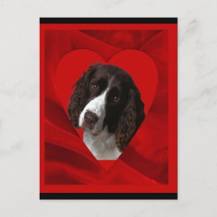 Cartes Pour Fêtes Annuelles Cocker Spaniel Saint-Valentin