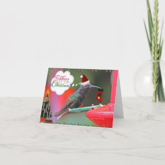 Cartes Pour Fêtes Annuelles Colibri de Joyeux Noël