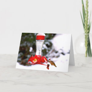 Cartes Pour Fêtes Annuelles Colibri de Noël et neige