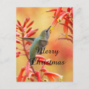Cartes Pour Fêtes Annuelles Colibri entouré de yucca, Joyeux Noël