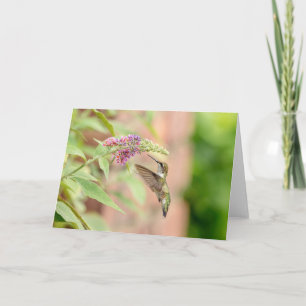 Cartes Pour Fêtes Annuelles Colibri sur un plante à fleurs