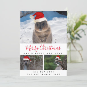 Cartes Pour Fêtes Annuelles Collage multi-photos avec des animaux australiens