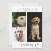 Cartes Pour Fêtes Annuelles Collage Photo Moderne 3 | Du Chien (Devant)