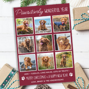 Cartes Pour Fêtes Annuelles Collecte photo personnalisée pour animaux de compa