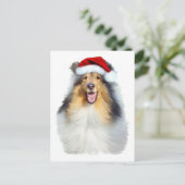 Cartes Pour Fêtes Annuelles Collie Christmas Père Noël (Debout devant)