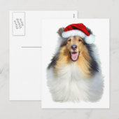 Cartes Pour Fêtes Annuelles Collie Christmas Père Noël (Devant / Derrière)